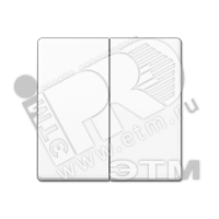 Клавиша 2-я для выключателей и кнопок  без подсветки. Серия AS500  Материал- дуропласт  Цвет- белый