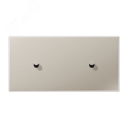 Плата центральная 2 поста, для горизонтальной установки, тумблеры 1+1, конус, металлическое исполнен