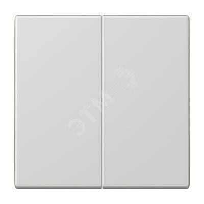 Клавиша 2-я для выключателей и кнопок  без подсветки. Серия LS990  Материал- дуропласт  Цвет- светло-серый