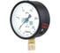 Манометр технический Физтех МП3-Уф 0-25 МПа кт.1,5 d.100 IP40 M20х1,5 РШ 4687205178404