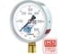 Манометр технический Физтех МП3-Уф исп ЭКО 0-600 кПа кт.1,5 d.100 IP40 M20х1,5 РШ 4687205178541