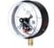 Манометр электроконтактный Физтех ДМ2005ф исп V 0-25 МПа кт.1,5 d.160 IP40 M20х1,5 РШ 4687205178091