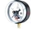 Манометр электроконтактный Физтех ДМ2005ф исп V 0-40 МПа кт.1,5 d.160 IP40 M20х1,5 РШ 4687205178121