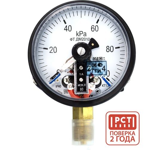 Манометр электроконтактный Физтех ДМ2010ф исп V 0-100 кПа кт.1,5 d.100 IP40 M20х1,5 РШ 4687205178183
