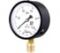 Манометр технический Физтех МП3-Уф 0-100 кПа кт.1,5 d.100 IP40 M20х1,5 РШ 4687205178374