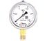 Манометр виброустойчивый Физтех ДМ8008-ВУф 0-2,5 МПа кт.1,0 d.100 IP54 M20x1,5 РШ, Силикон 4687205455048