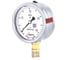 Манометр виброустойчивый Физтех ДМ8008-ВУф 0-40 МПа кт.1,0 d.100 IP54 M20_1,5 РШ, Глицерин 4687205640970