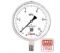 Манометр коррозионностойкий Физтех ДМ8008-ВУф Кс исп 2 0-10 МПа кт.1,0 d.160 IP65 M20_1,5 РШ SG, Силикон 4687205724564