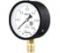 Манометр технический Физтех МП3-Уф 0-0,6 кгс/см2 кт.1,5 d.100 IP40 M20_1,5 РШ 4687206458536