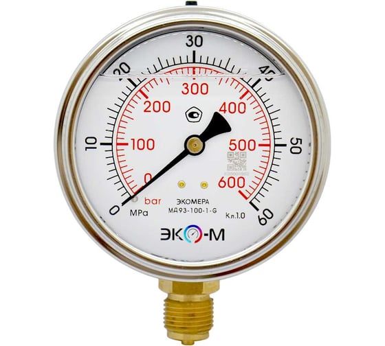 Манометр виброустойчивый Физтех ДМ8008-ВУф 0-60 МПа кт.1,0 d.100 IP54 M20x1,5 РШ, Глицерин 4687205450081