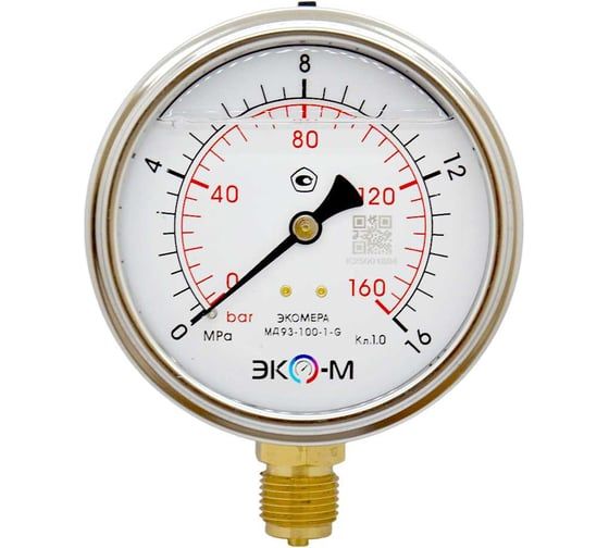 Манометр виброустойчивый Физтех ДМ8008-ВУф 0-16 МПа, кт1.0, d100, IP54 G,1/2 РШ, силикон 4687205640161