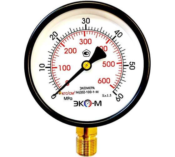 Манометр технический Физтех МП3-Уф 0-60 МПа кт.1,5 d.100 IP40 M20_1,5 РШ 4687205628978