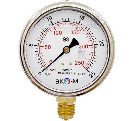 Манометр электроконтактный Физтех ДМ2005ф исп V 0-25 МПа кт.1,5 d.160 IP40 M20х1,5 РШ 4687205178091