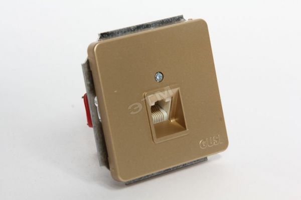 Розетка компьютерная в рамку золото