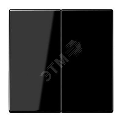 Клавиша 2-я для выключателей и кнопок  без подсветки. Серия LS990  Материал- дуропласт  Цвет- черный