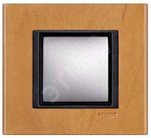 РАМКА 1 ПОСТ КОЖА АНАТОЛИЙСКИЙ ПЕРГАМЕНТ