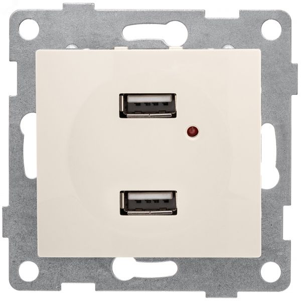 Розетка USB Bravo, механизм, двойной, бежевый