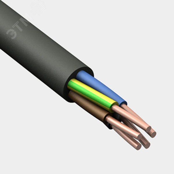 Кабель силовой ВВГнг(А)  5х4 (N. PE) - 0.66
