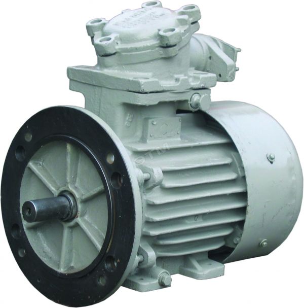 Электродвигатель 100L6 ЕD 2.2/1000 IM1081